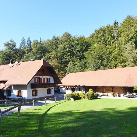 Domacija Seruga Countryside Hotel Novo Mesto Eksteriør bilde