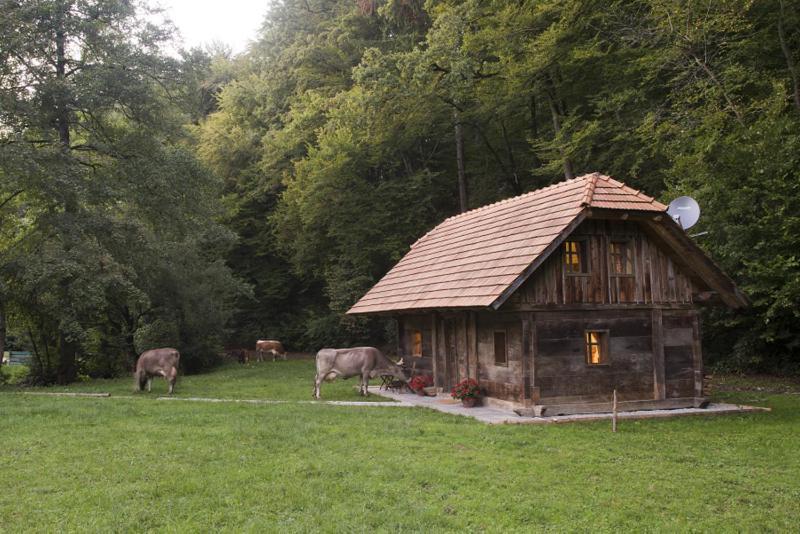 Domacija Seruga Countryside Hotel Novo Mesto Eksteriør bilde