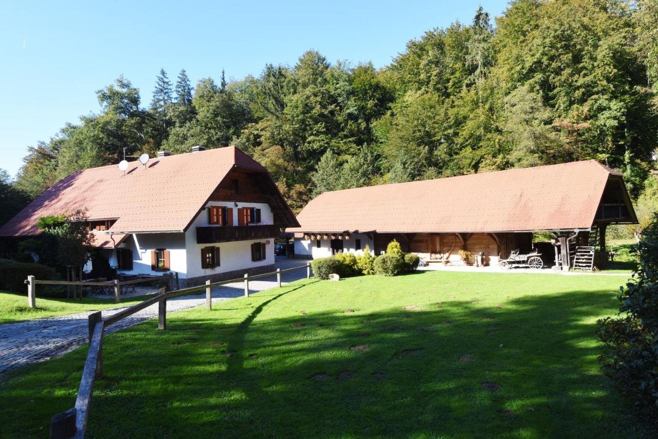 Domacija Seruga Countryside Hotel Novo Mesto Eksteriør bilde