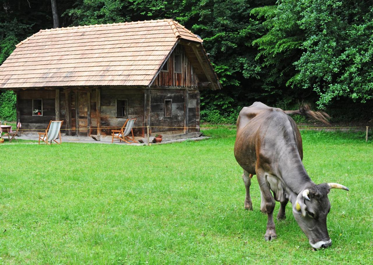 Domacija Seruga Countryside Hotel Novo Mesto Eksteriør bilde
