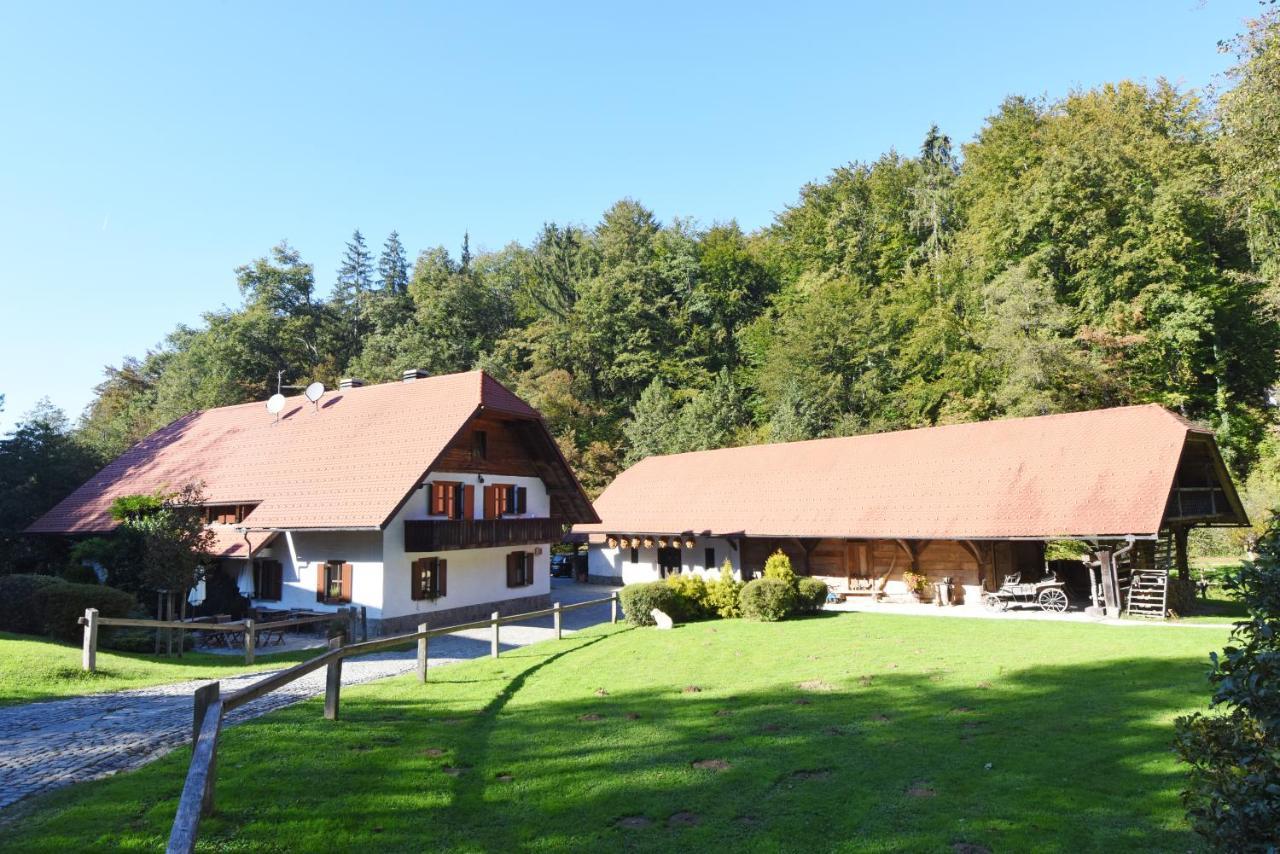 Domacija Seruga Countryside Hotel Novo Mesto Eksteriør bilde